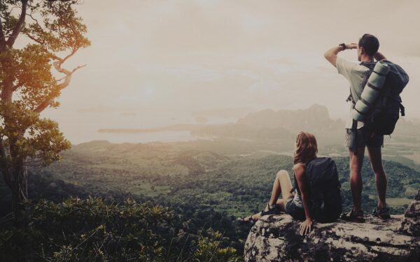 What Insurance Brokers Do, Why You Need One, and How to Hire