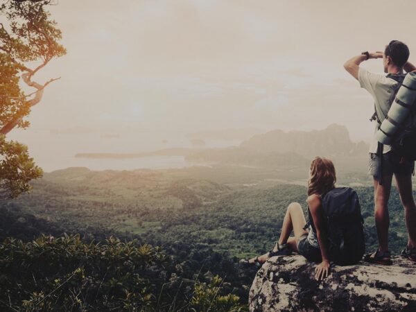 What Insurance Brokers Do, Why You Need One, and How to Hire